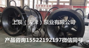 臥式全貫流泵在福建武夷山潛水貫流泵廠家的應用與發(fā)展